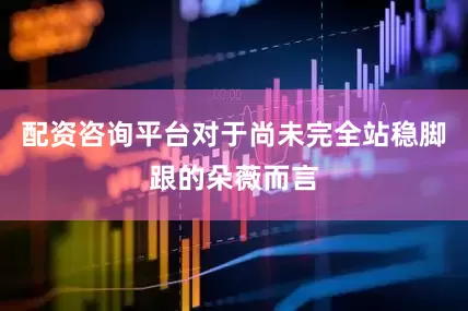 配资咨询平台对于尚未完全站稳脚跟的朵薇而言