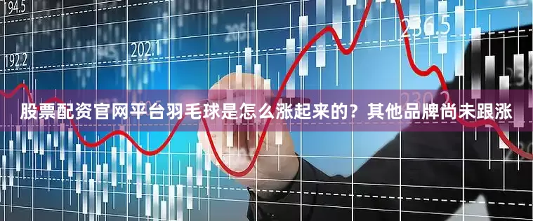 股票配资官网平台　　羽毛球是怎么涨起来的？其他品牌尚未跟涨