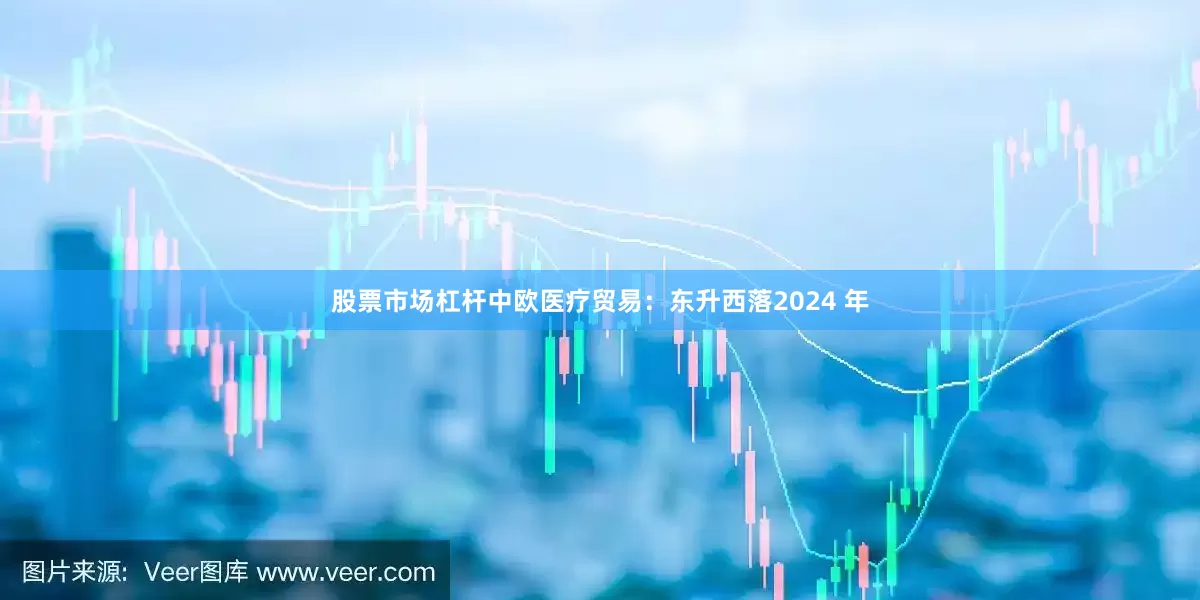 股票市场杠杆中欧医疗贸易：东升西落2024 年