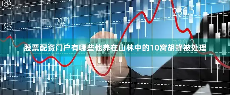 股票配资门户有哪些他养在山林中的10窝胡蜂被处理