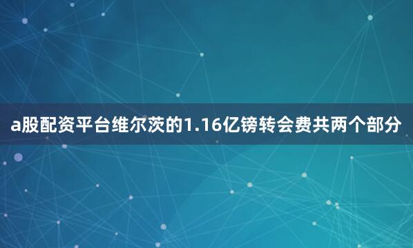 a股配资平台维尔茨的1.16亿镑转会费共两个部分