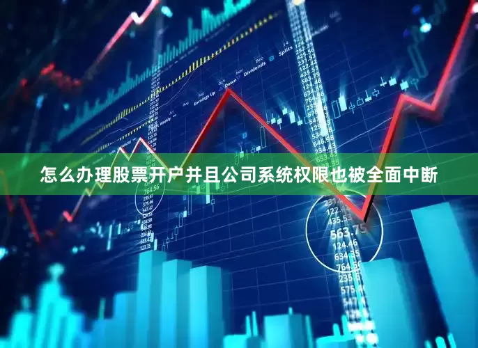 怎么办理股票开户并且公司系统权限也被全面中断