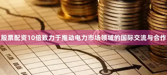 股票配资10倍致力于推动电力市场领域的国际交流与合作